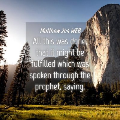 Picture 04 - Matthew 21:4 WEB - All this was done, that it might be fulfilled - Bible Verse Picture