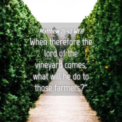 Picture 04 - Matthew 21:40 WEB - When therefore the lord of the vineyard comes, - Bible Verse Picture