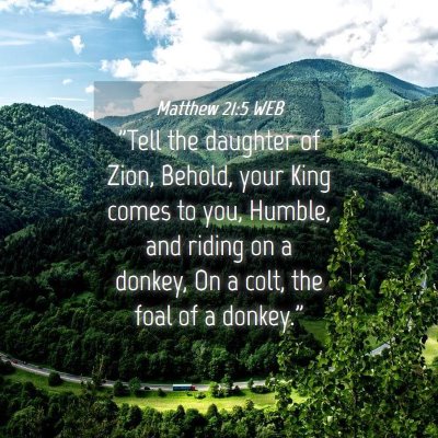 Picture 04 - Matthew 21:5 WEB - 