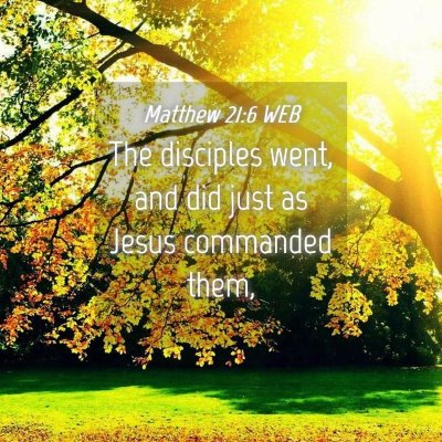 Picture 04 - Matthew 21:6 WEB - The disciples went, and did just as Jesus - Bible Verse Picture