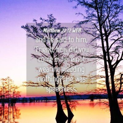 Picture 04 - Matthew 22:12 WEB - and he said to him, 'Friend, how did you come in - Bible Verse Picture