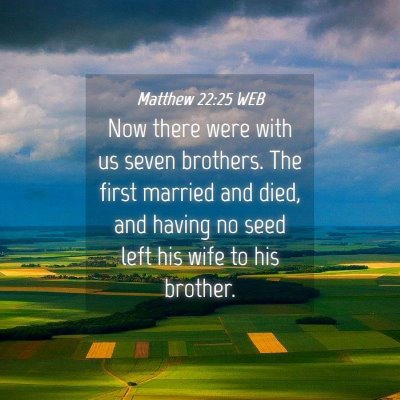 Picture 04 - Matthew 22:25 WEB - Now there were with us seven brothers. The first - Bible Verse Picture