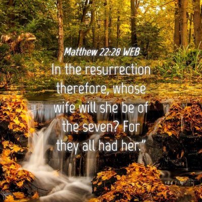 Picture 04 - Matthew 22:28 WEB - In the resurrection therefore, whose wife will - Bible Verse Picture