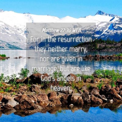 Picture 04 - Matthew 22:30 WEB - For in the resurrection they neither marry, nor - Bible Verse Picture