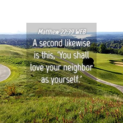 Picture 04 - Matthew 22:39 WEB - A second likewise is this, 'You shall love your - Bible Verse Picture