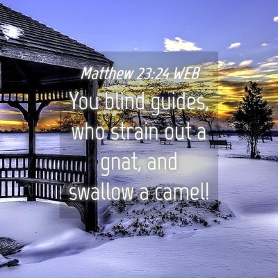 Picture 04 - Matthew 23:24 WEB - You blind guides, who strain out a gnat, and - Bible Verse Picture