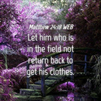 Picture 04 - Matthew 24:18 WEB - Let him who is in the field not return back to - Bible Verse Picture