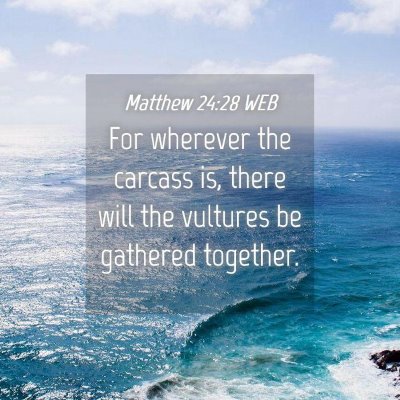 Picture 04 - Matthew 24:28 WEB - For wherever the carcass is, there will the - Bible Verse Picture
