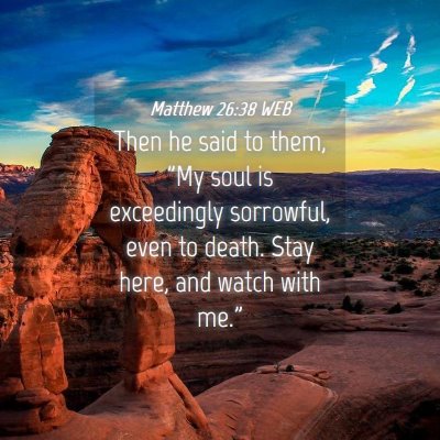 Picture 04 - Matthew 26:38 WEB - Then he said to them, 
