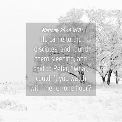 Picture 04 - Matthew 26:40 WEB - He came to the disciples, and found them - Bible Verse Picture