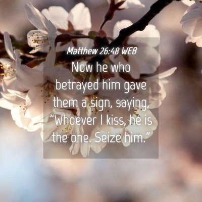 Picture 04 - Matthew 26:48 WEB - Now he who betrayed him gave them a sign, saying, - Bible Verse Picture