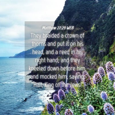 Picture 04 - Matthew 27:29 WEB - They braided a crown of thorns and put it on his - Bible Verse Picture
