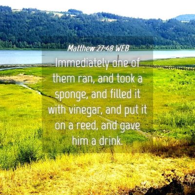 Picture 04 - Matthew 27:48 WEB - Immediately one of them ran, and took a sponge, - Bible Verse Picture