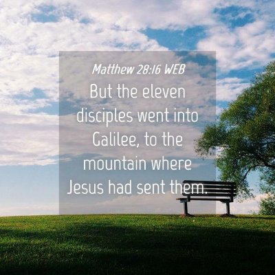 Picture 04 - Matthew 28:16 WEB - But the eleven disciples went into Galilee, to - Bible Verse Picture