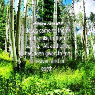 Picture 04 - Matthew 28:18 WEB - Jesus came to them and spoke to them, saying, - Bible Verse Picture