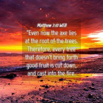 Picture 04 - Matthew 3:10 WEB - 