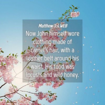 Picture 04 - Matthew 3:4 WEB - Now John himself wore clothing made of camel's - Bible Verse Picture