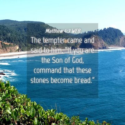 Picture 04 - Matthew 4:3 WEB - The tempter came and said to him, 