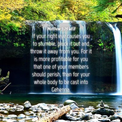 Picture 04 - Matthew 5:29 WEB - If your right eye causes you to stumble, pluck it - Bible Verse Picture