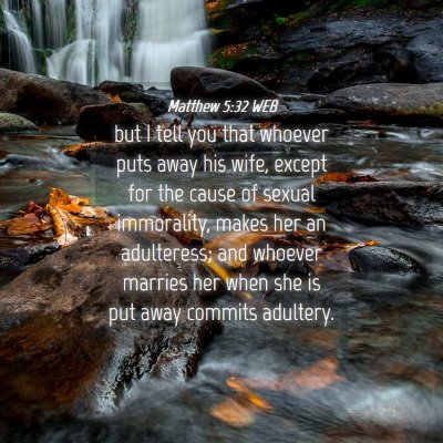 Picture 04 - Matthew 5:32 WEB - but I tell you that whoever puts away his wife, - Bible Verse Picture