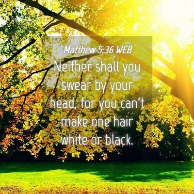 Picture 04 - Matthew 5:36 WEB - Neither shall you swear by your head, for you - Bible Verse Picture