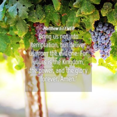 Picture 04 - Matthew 6:13 WEB - Bring us not into temptation, but deliver us from - Bible Verse Picture