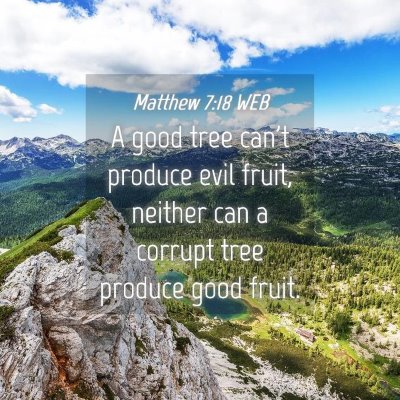 Picture 04 - Matthew 7:18 WEB - A good tree can't produce evil fruit, neither can - Bible Verse Picture