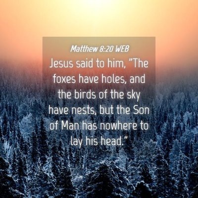 Picture 04 - Matthew 8:20 WEB - Jesus said to him, 