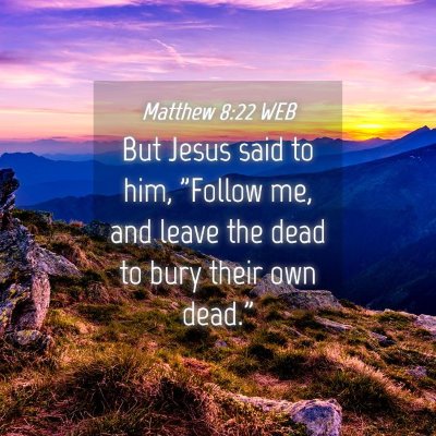 Picture 04 - Matthew 8:22 WEB - But Jesus said to him, 