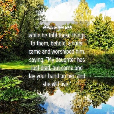 Picture 04 - Matthew 9:18 WEB - While he told these things to them, behold, a - Bible Verse Picture
