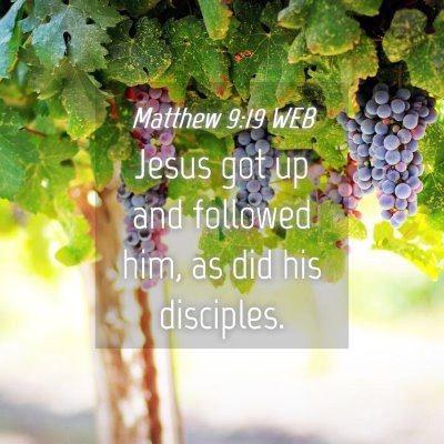 Picture 04 - Matthew 9:19 WEB - Jesus got up and followed him, as did his - Bible Verse Picture