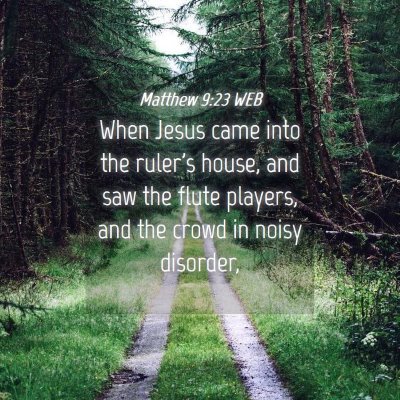 Picture 04 - Matthew 9:23 WEB - When Jesus came into the ruler's house, and saw - Bible Verse Picture