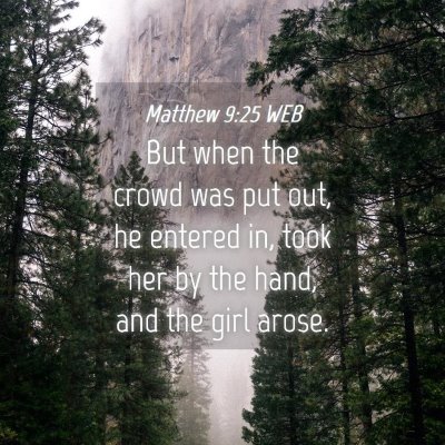 Picture 04 - Matthew 9:25 WEB - But when the crowd was put out, he entered in, - Bible Verse Picture