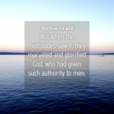 Picture 04 - Matthew 9:8 WEB - But when the multitudes saw it, they marveled and - Bible Verse Picture