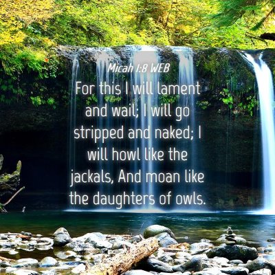 Picture 04 - Micah 1:8 WEB - For this I will lament and wail; I will go - Bible Verse Picture
