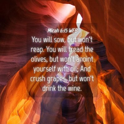 Picture 04 - Micah 6:15 WEB - You will sow, but won't reap. You will tread the - Bible Verse Picture