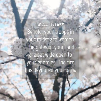 Picture 04 - Nahum 3:13 WEB - Behold, your troops in your midst are women. The - Bible Verse Picture