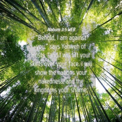 Picture 04 - Nahum 3:5 WEB - 