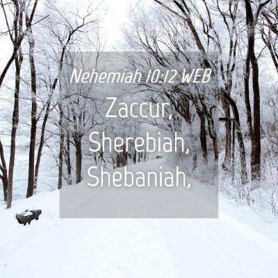 Picture 04 - Nehemiah 10:12 WEB - Zaccur, Sherebiah, - Bible Verse Picture