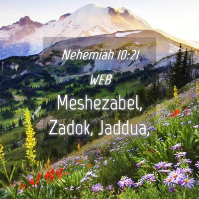 Picture 04 - Nehemiah 10:21 WEB - Meshezabel, Zadok, - Bible Verse Picture