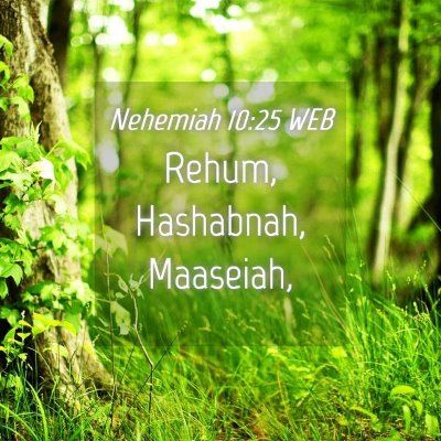 Picture 04 - Nehemiah 10:25 WEB - Rehum, Hashabnah, - Bible Verse Picture