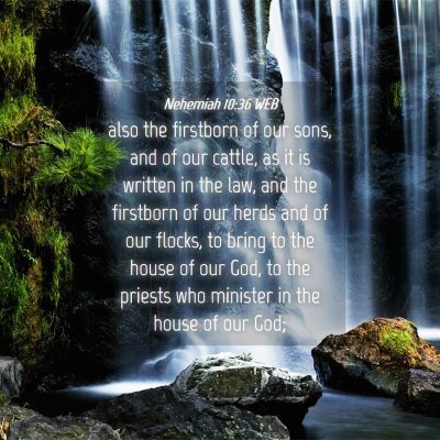 Picture 04 - Nehemiah 10:36 WEB - also the firstborn of our sons, and of our - Bible Verse Picture