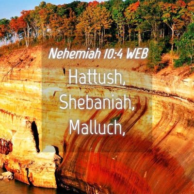 Picture 04 - Nehemiah 10:4 WEB - Hattush, Shebaniah, - Bible Verse Picture