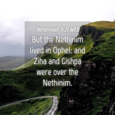 Picture 04 - Nehemiah 11:21 WEB - But the Nethinim lived in Ophel: and Ziha and - Bible Verse Picture