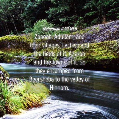 Picture 04 - Nehemiah 11:30 WEB - Zanoah, Adullam, and their villages, Lachish and - Bible Verse Picture