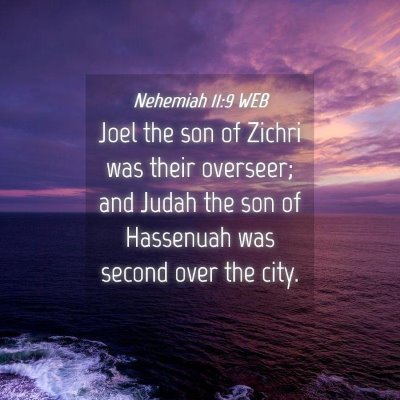 Picture 04 - Nehemiah 11:9 WEB - Joel the son of Zichri was their overseer; and - Bible Verse Picture