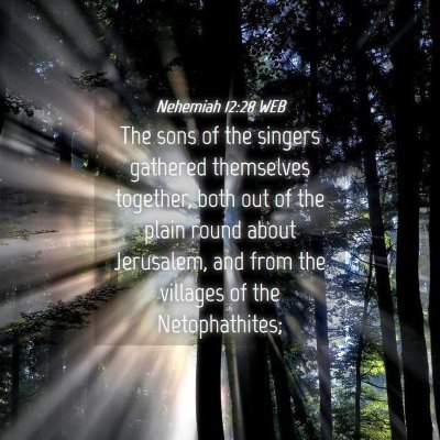 Picture 04 - Nehemiah 12:28 WEB - The sons of the singers gathered themselves - Bible Verse Picture