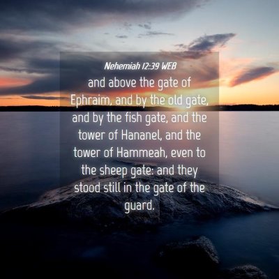Picture 04 - Nehemiah 12:39 WEB - and above the gate of Ephraim, and by the old - Bible Verse Picture