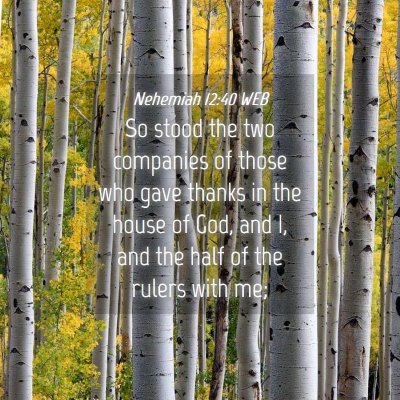 Picture 04 - Nehemiah 12:40 WEB - So stood the two companies of those who gave - Bible Verse Picture
