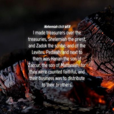 Picture 04 - Nehemiah 13:13 WEB - I made treasurers over the treasuries, Shelemiah - Bible Verse Picture